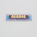 Tablilla de Dientes Ecodent Anteriores Superiores 37 62