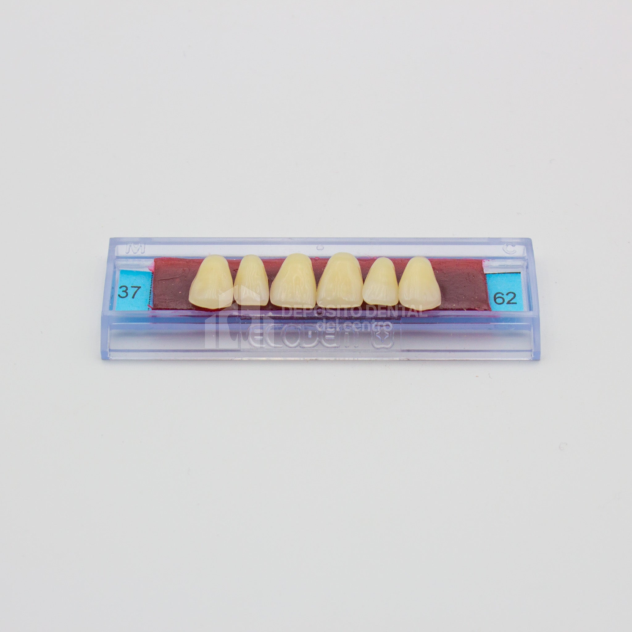 Tablilla de Dientes Ecodent Anteriores Superiores 37 62