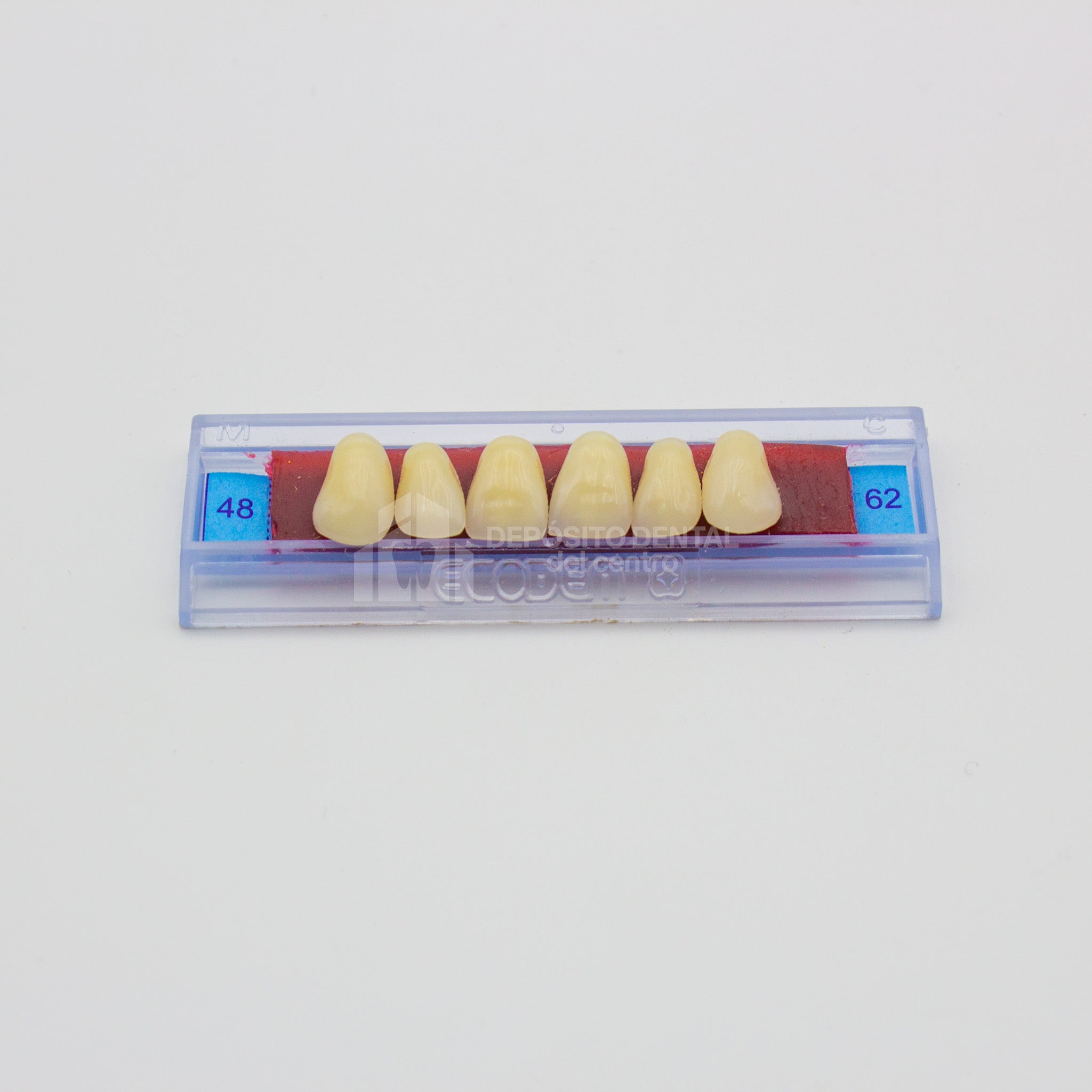 Tablilla de Dientes Ecodent Anteriores Superiores 48 62