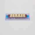 Tablilla de Dientes Ecodent Anteriores Superiores 51 62