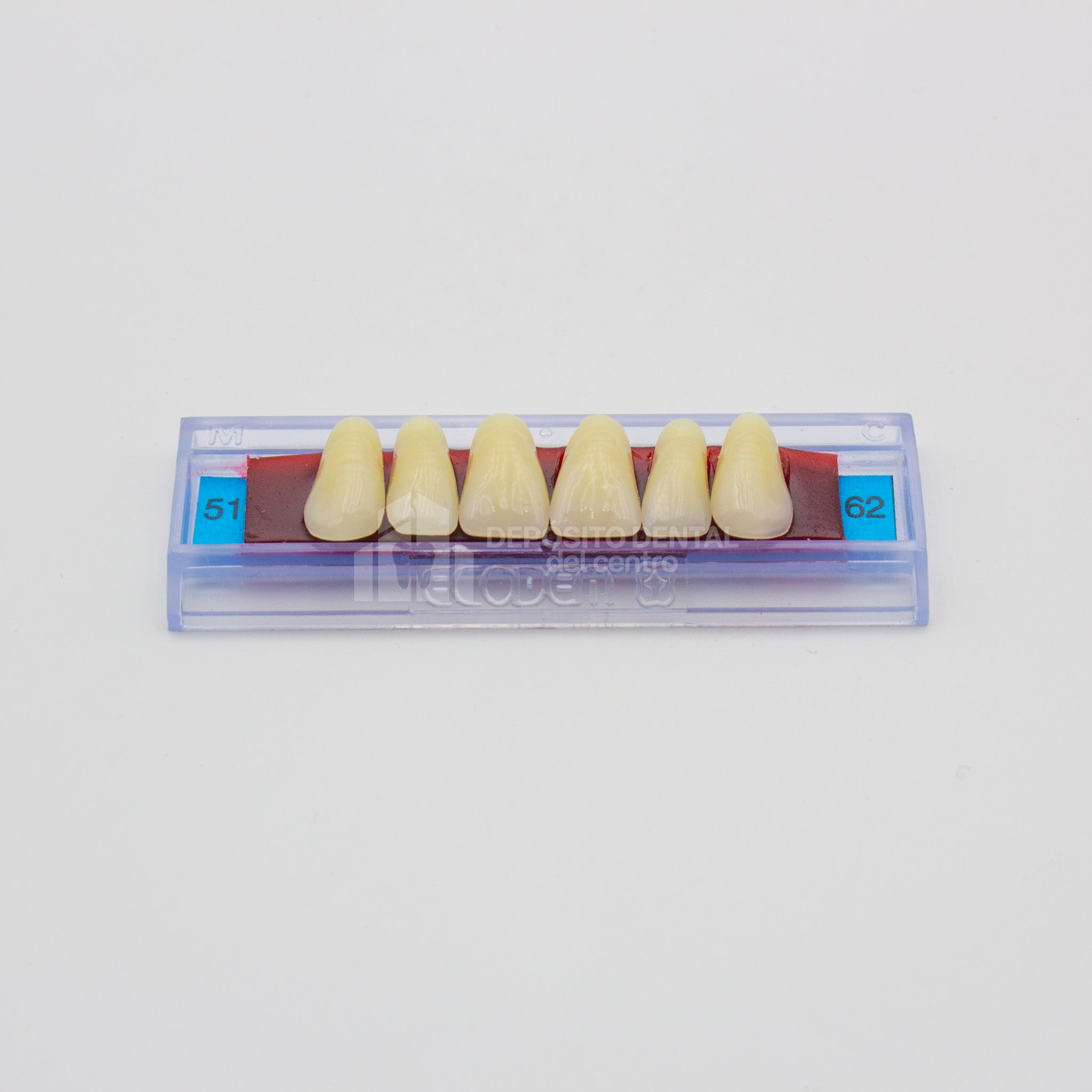 Tablilla de Dientes Ecodent Anteriores Superiores 51 62