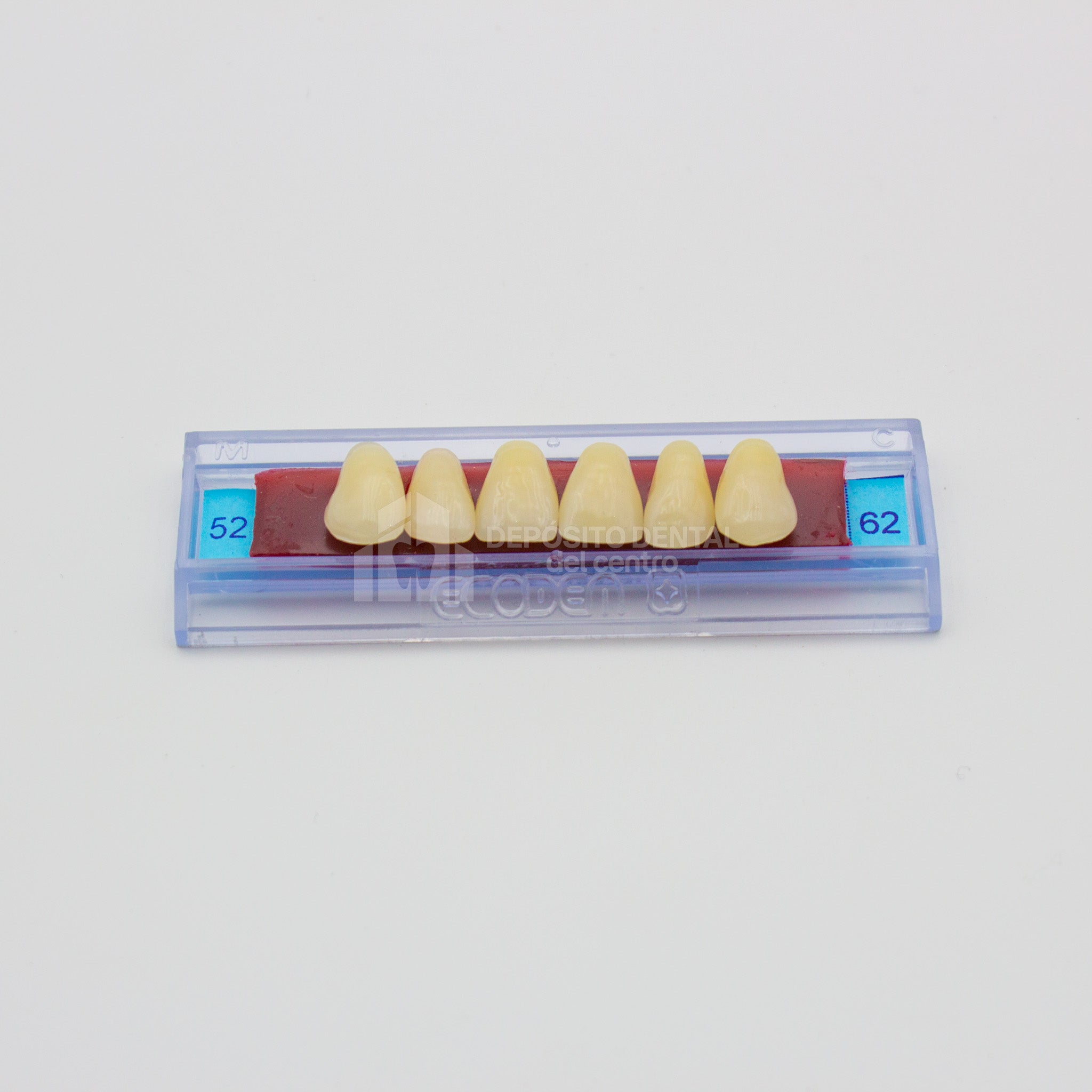 Tablilla de Dientes Ecodent Anteriores Superiores 52 62