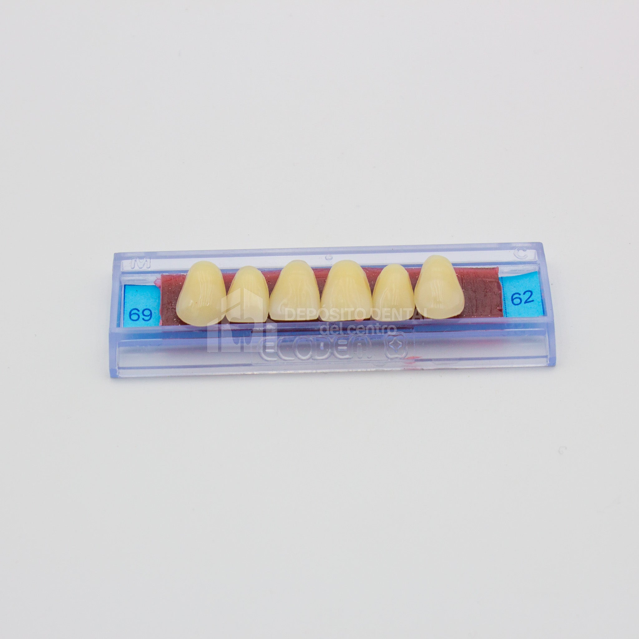 Tablilla de Dientes Ecodent Anteriores Superiores 69 52