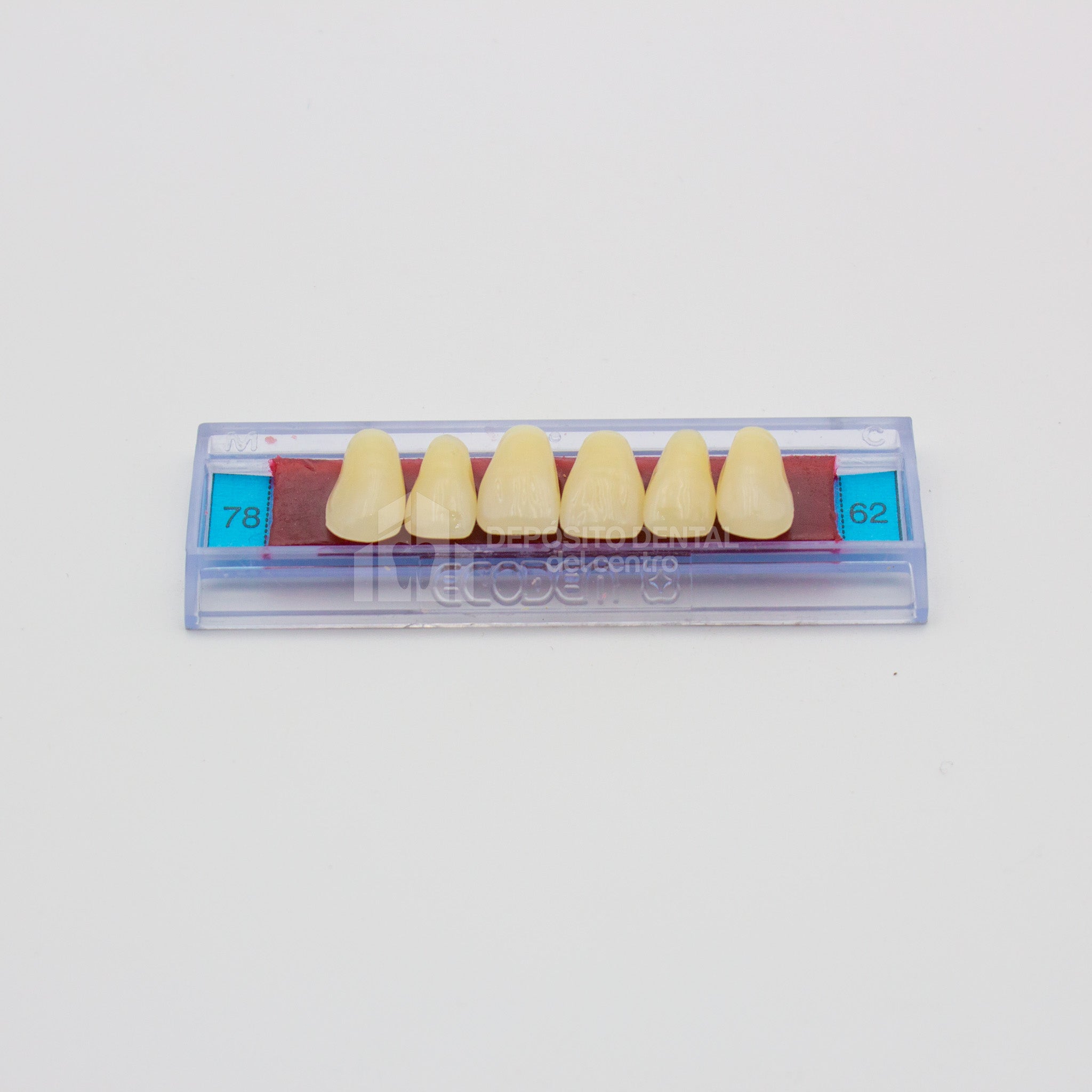 Tablilla de Dientes Ecodent Anteriores Superiores 78 62