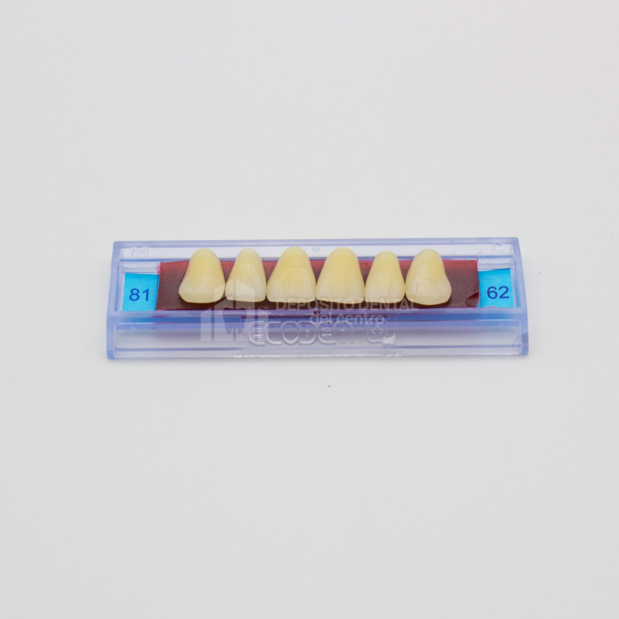 Tablilla de Dientes Ecodent Anteriores Superiores 81 62