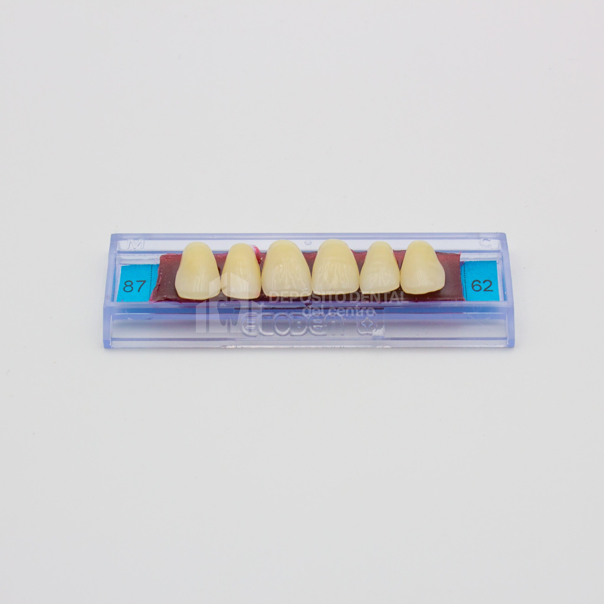Tablilla de Dientes Ecodent Anteriores Superiores 87 62