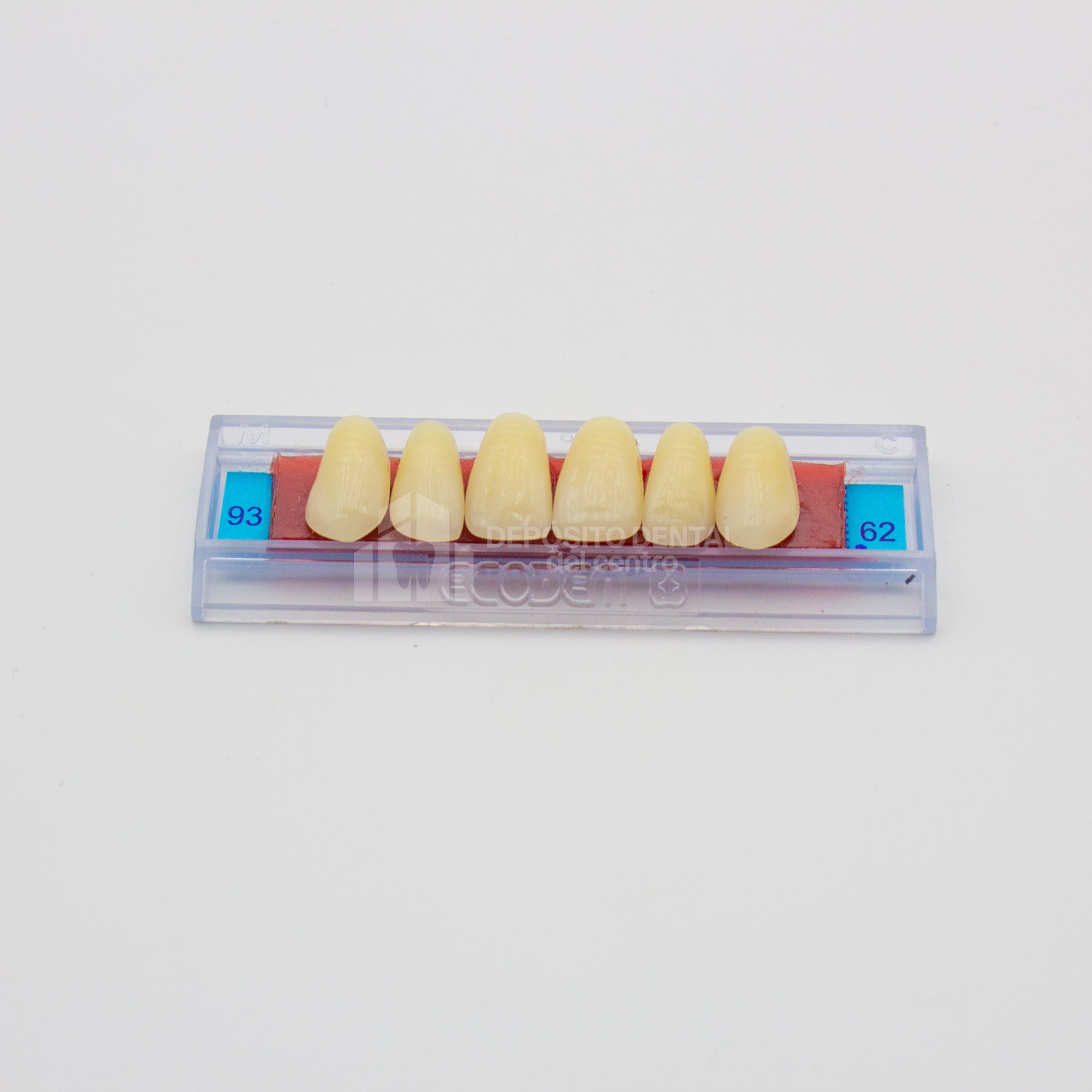 Tablilla de Dientes Ecodent Anteriores Superiores 93 62