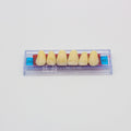 Tablilla de Dientes Ecodent Anteriores Superiores 09 62