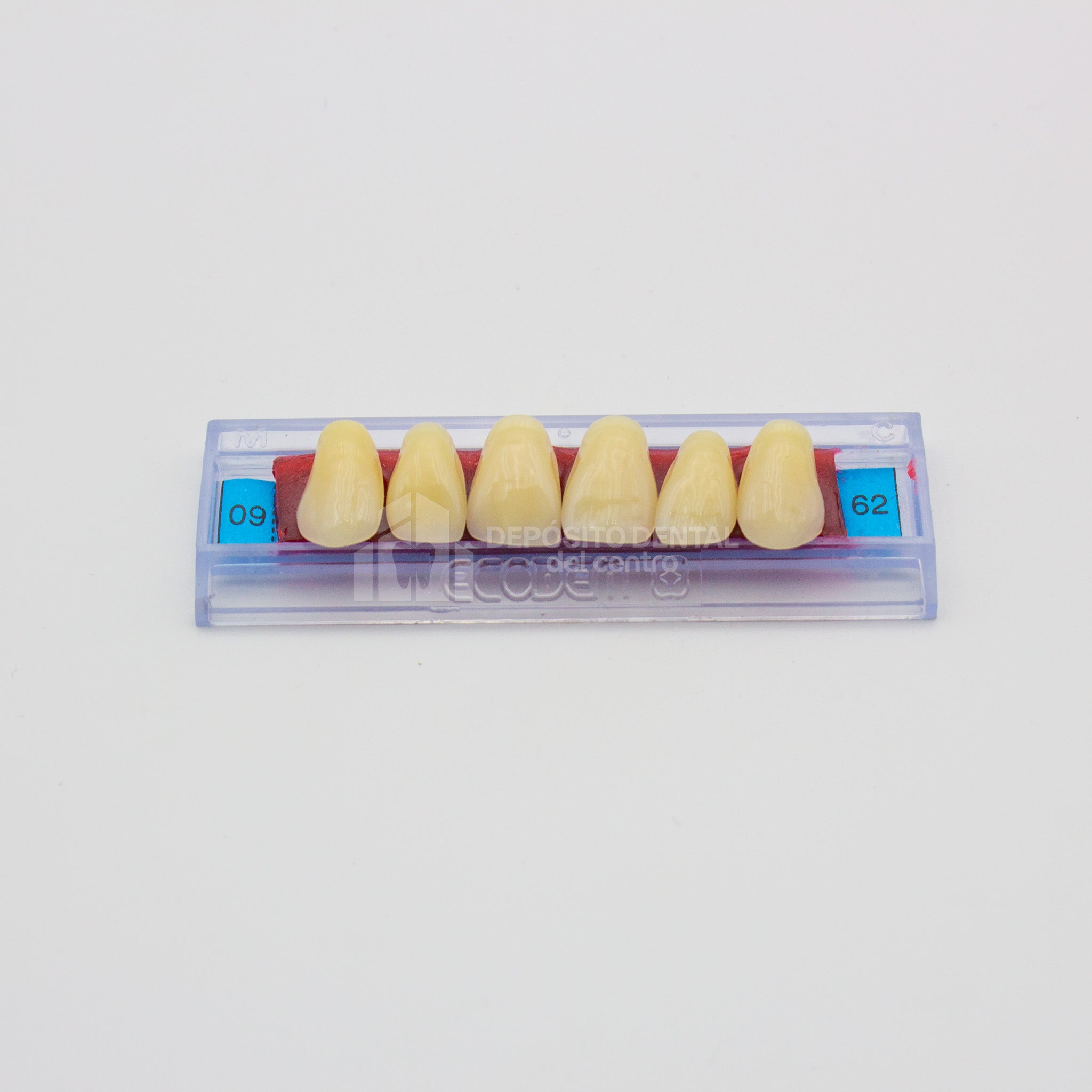 Tablilla de Dientes Ecodent Anteriores Superiores 09 62