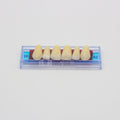 Tablilla de Dientes Ecodent Anteriores Superiores 00 62