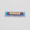 Tablilla de Dientes Ecodent Anteriores Superiores 10 65