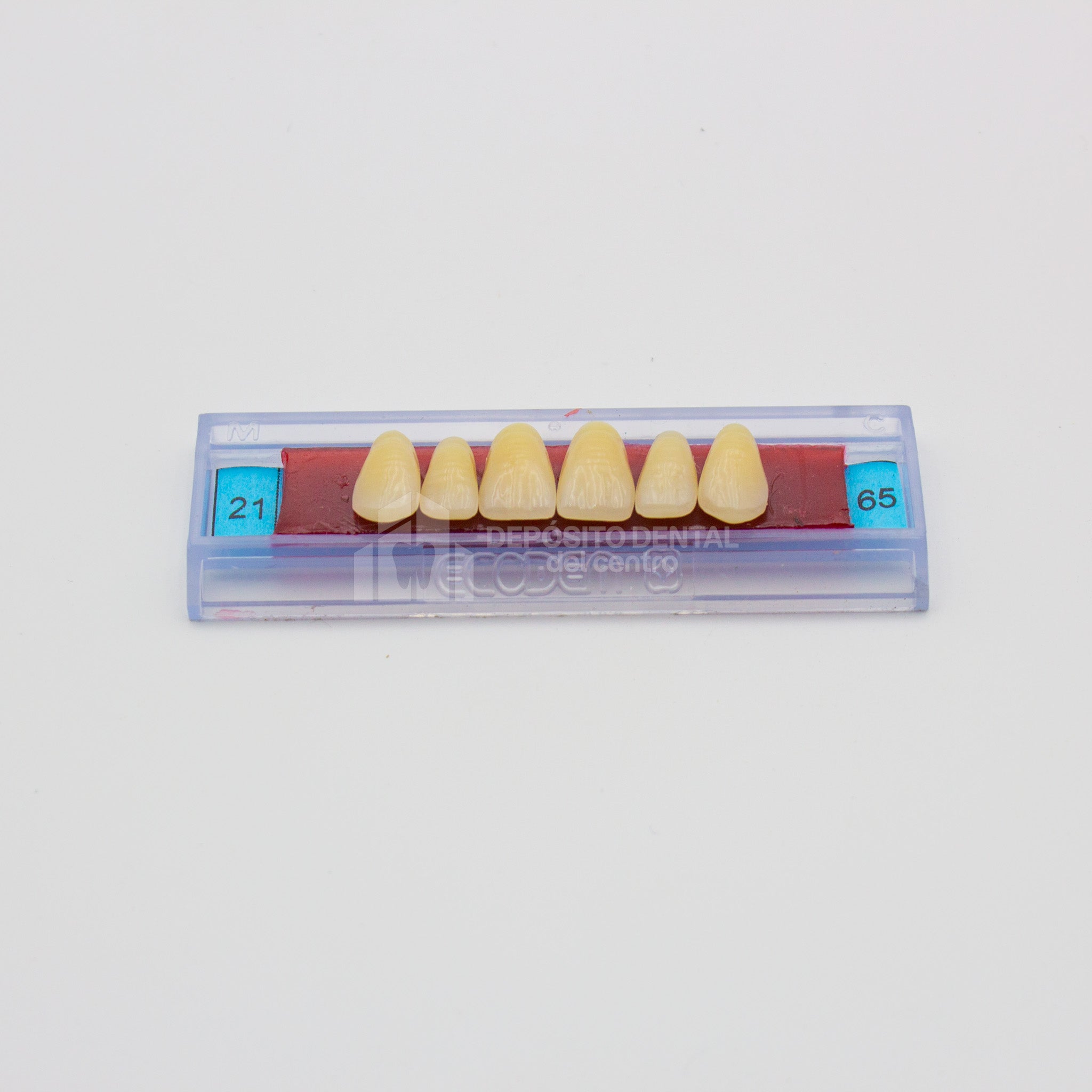 Tablilla de Dientes Ecodent Anteriores Superiores 21 65