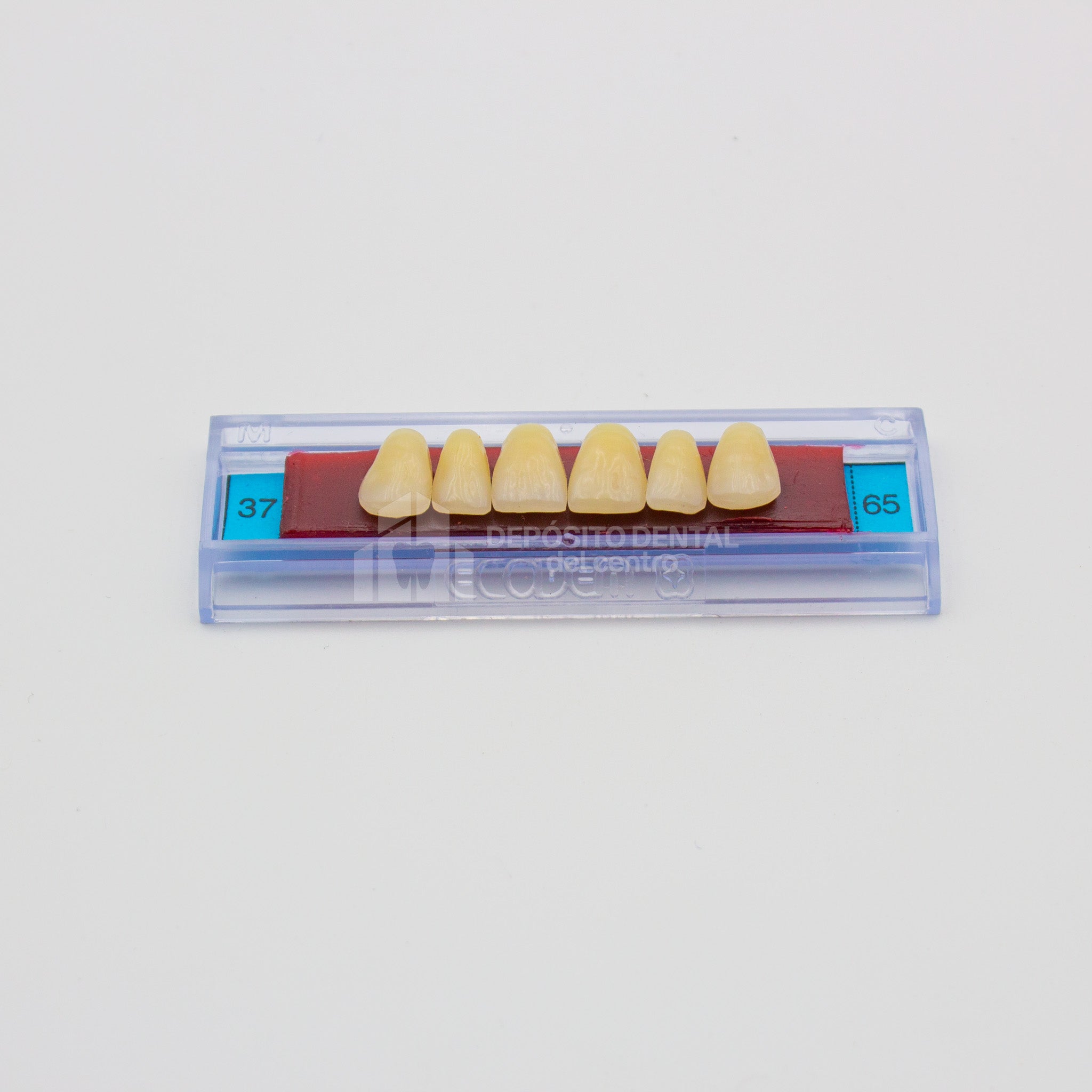 Tablilla de Dientes Ecodent Anteriores Superiores 37 65