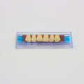 Tablilla de Dientes Ecodent Anteriores Superiores 48 65