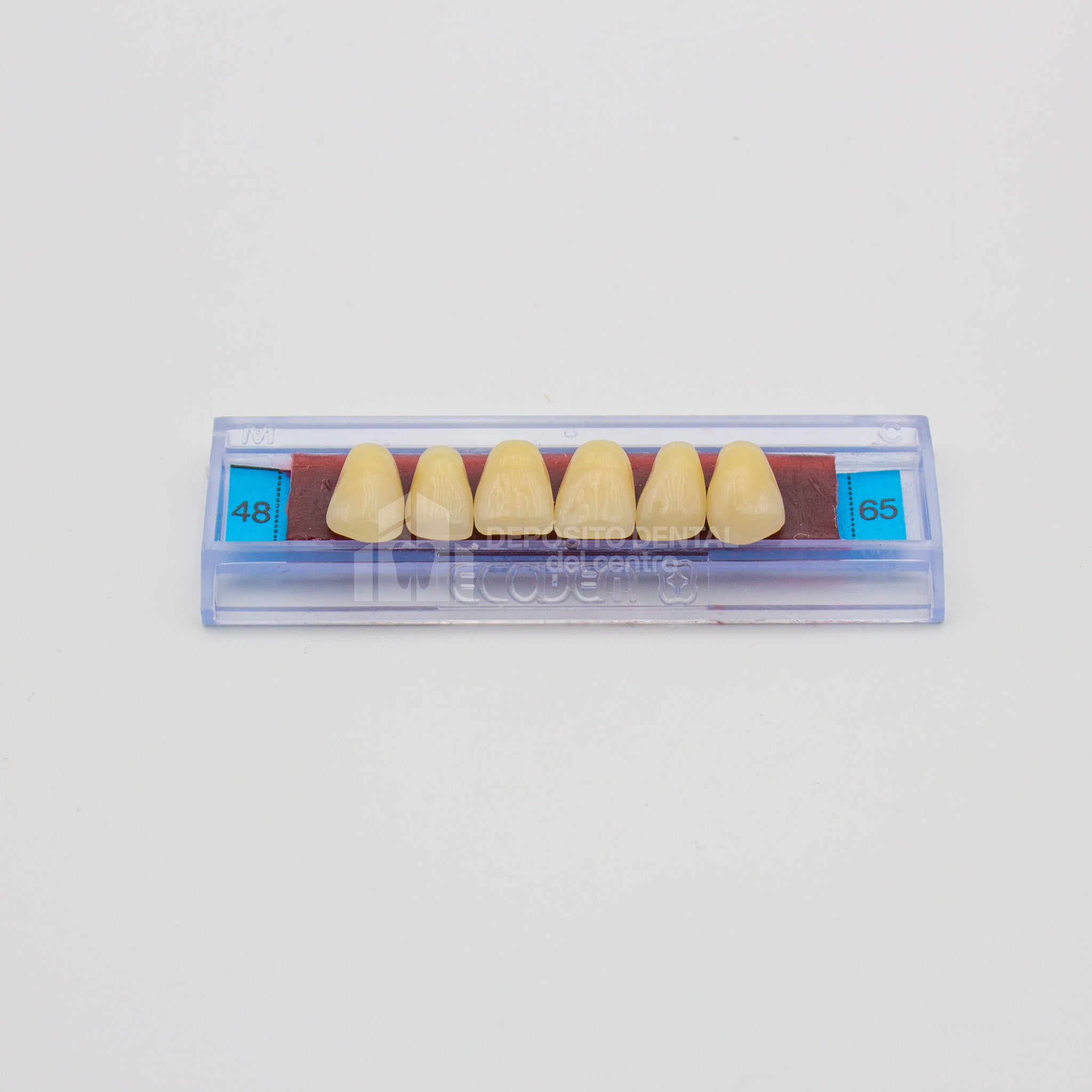 Tablilla de Dientes Ecodent Anteriores Superiores 48 65