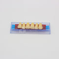 Tablilla de Dientes Ecodent Anteriores Superiores 51 65