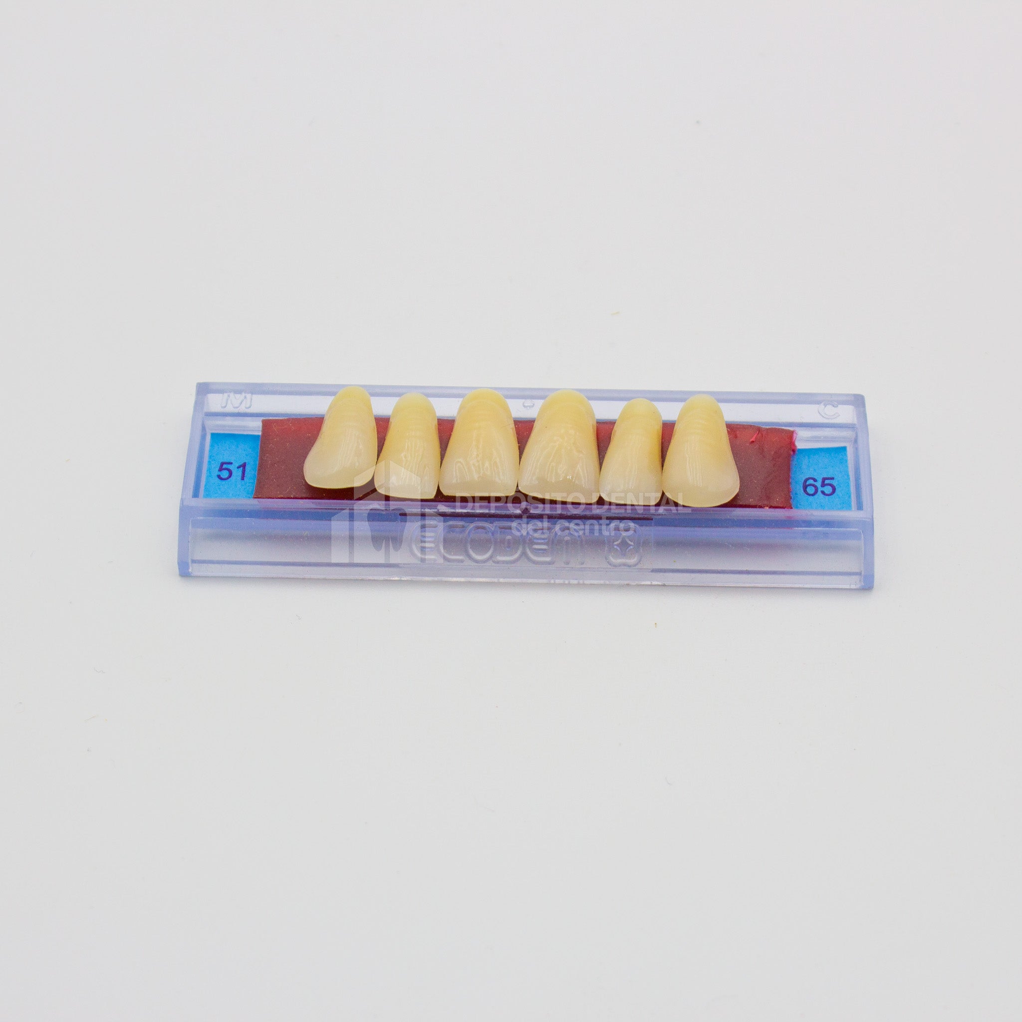 Tablilla de Dientes Ecodent Anteriores Superiores 51 65