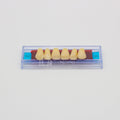 Tablilla de Dientes Ecodent Anteriores Superiores 52 65