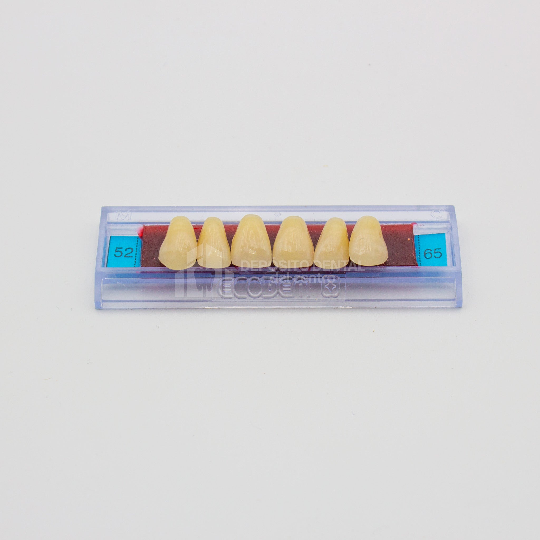 Tablilla de Dientes Ecodent Anteriores Superiores 52 65