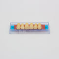 Tablilla de Dientes Ecodent Anteriores Superiores 78 65