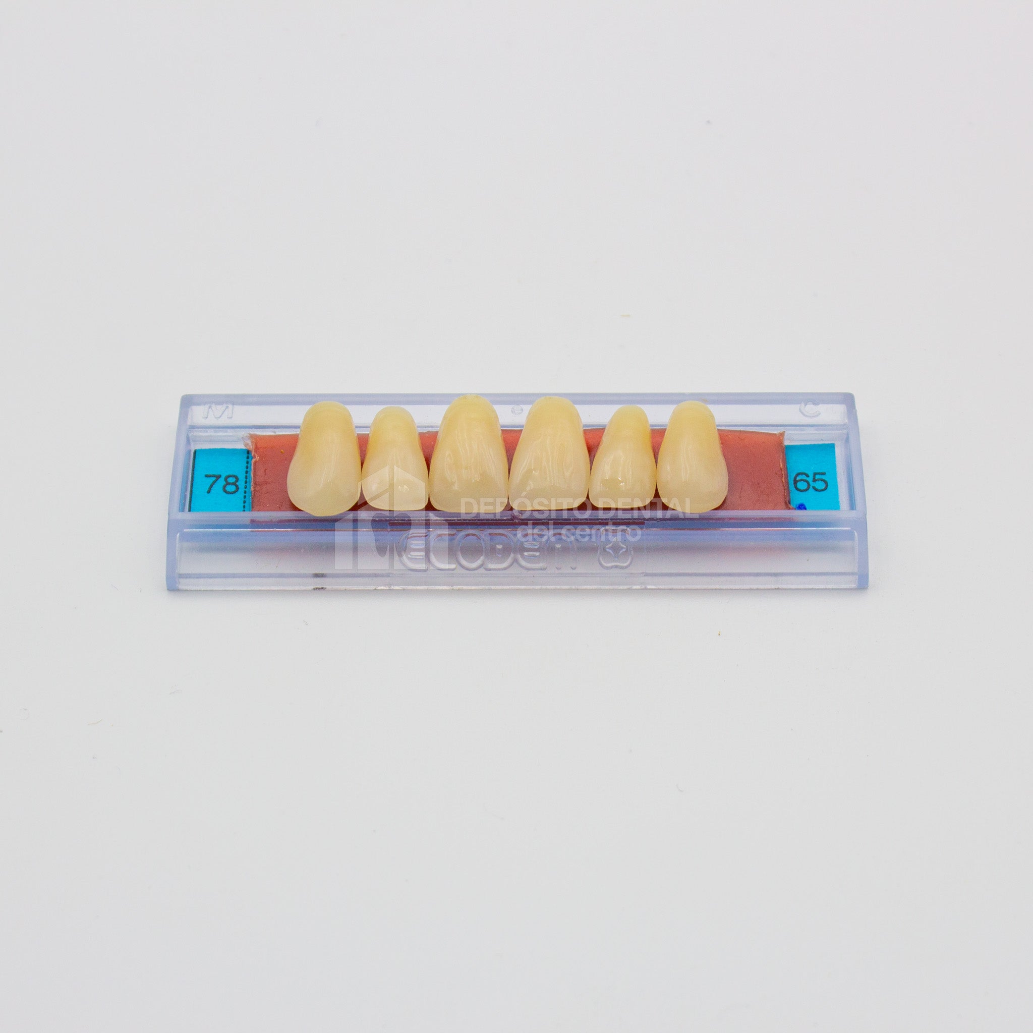 Tablilla de Dientes Ecodent Anteriores Superiores 78 65