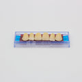 Tablilla de Dientes Ecodent Anteriores Superiores 82 65