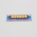 Tablilla de Dientes Ecodent Anteriores Superiores 87 65