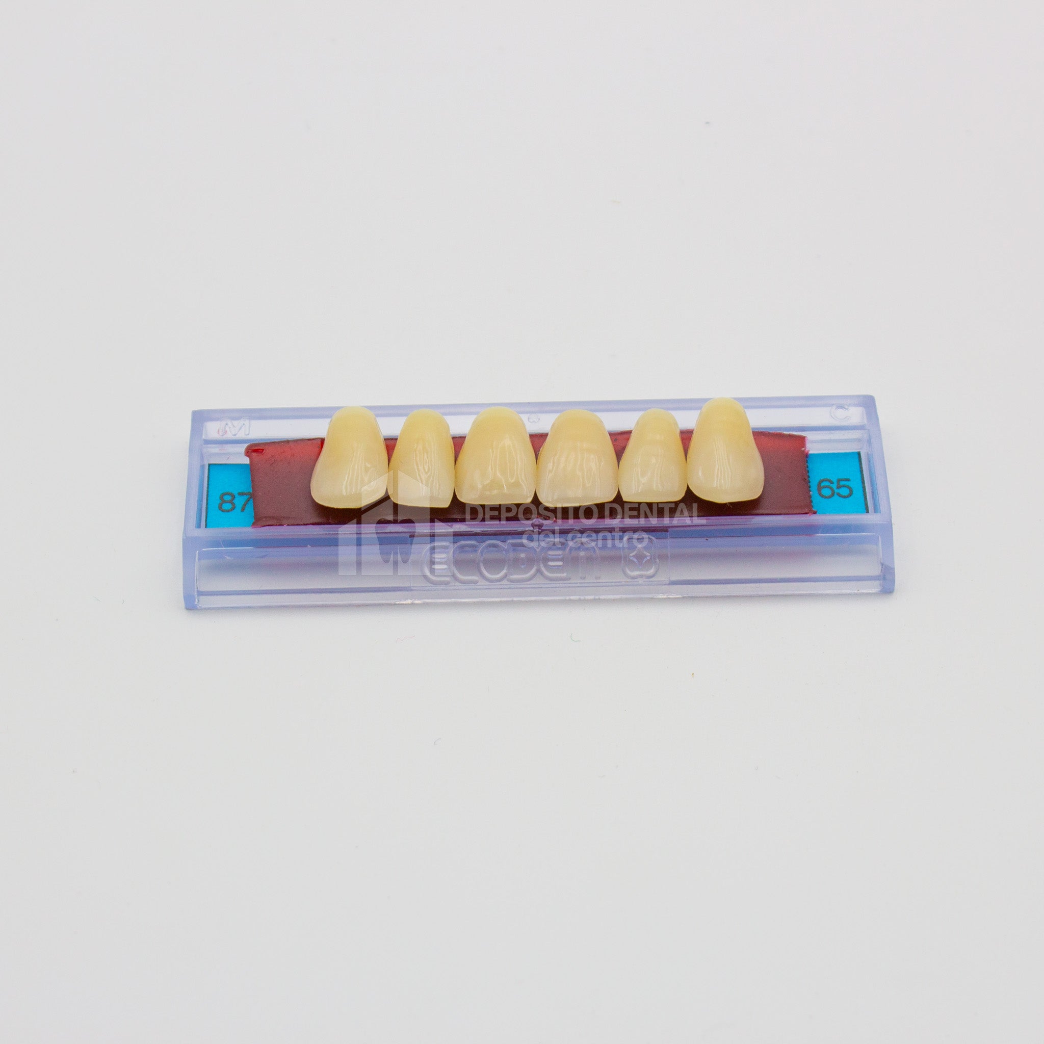 Tablilla de Dientes Ecodent Anteriores Superiores 87 65