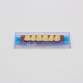Tablilla de Dientes Ecodent Anteriores Superiores 69 65