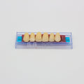 Tablilla de Dientes Ecodent Anteriores Superiores 93 65