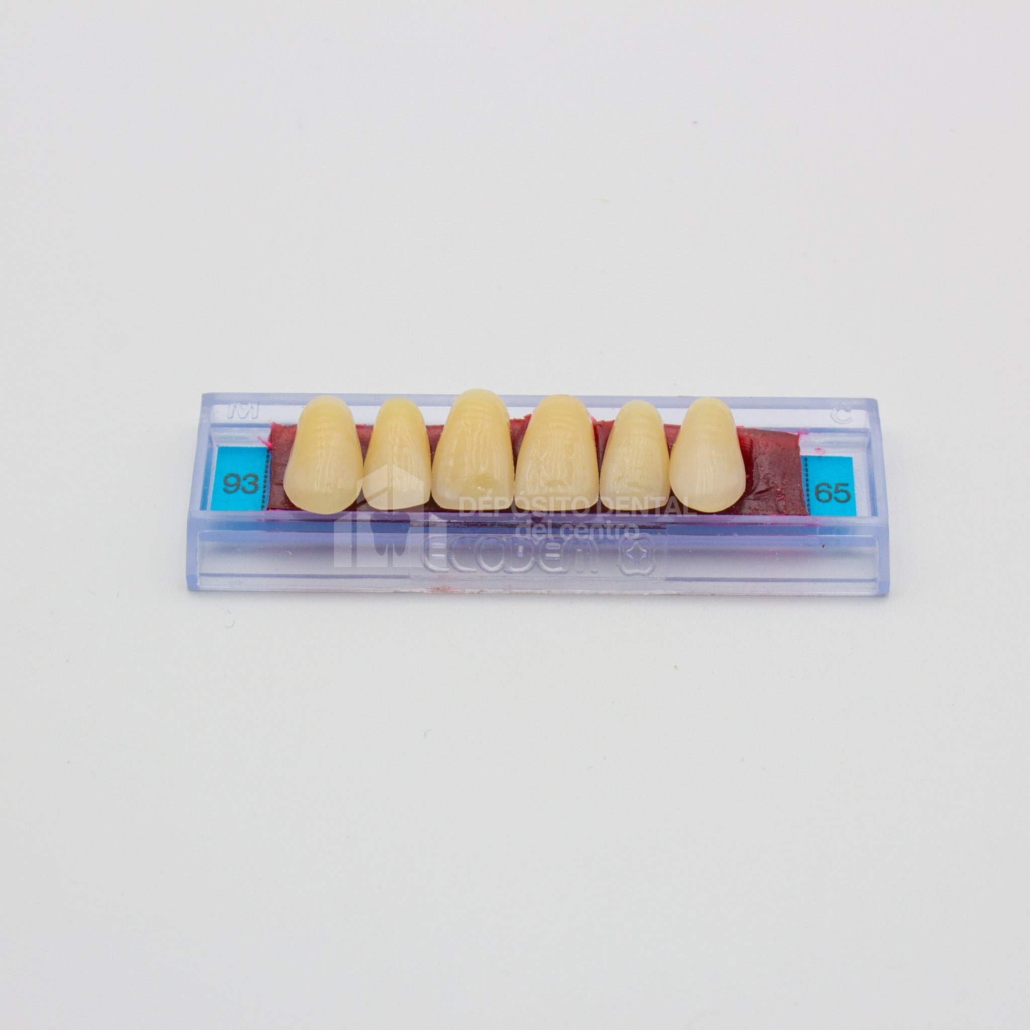 Tablilla de Dientes Ecodent Anteriores Superiores 93 65