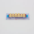 Tablilla de Dientes Ecodent Anteriores Superiores 09 65