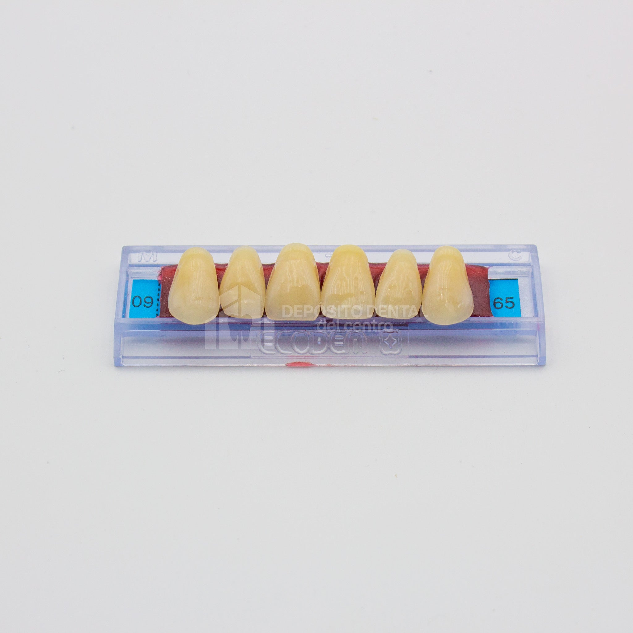 Tablilla de Dientes Ecodent Anteriores Superiores 09 65