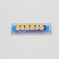 Tablilla de Dientes Ecodent Anteriores Superiores 00 65