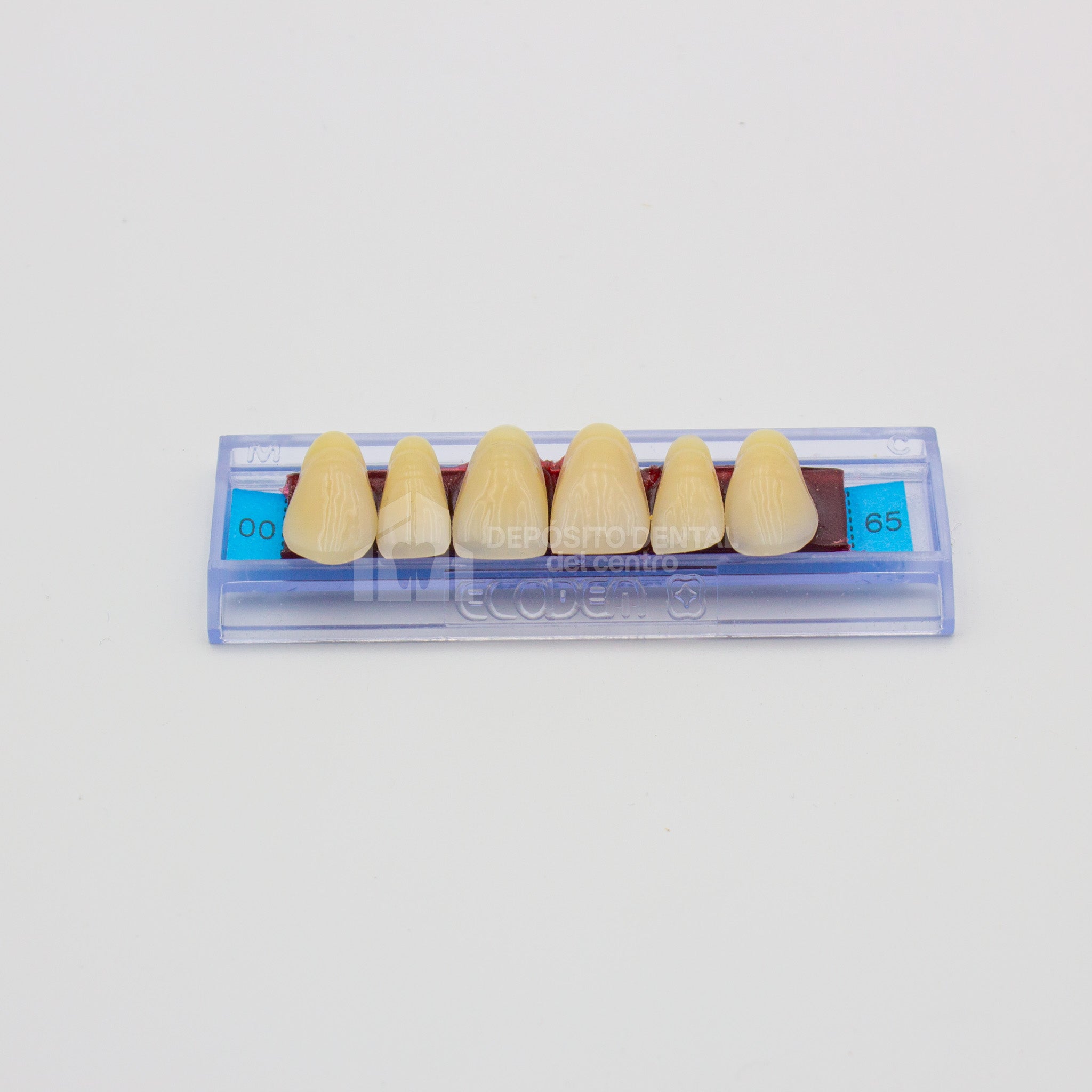 Tablilla de Dientes Ecodent Anteriores Superiores 00 65
