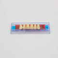 Tablilla de Dientes Ecodent Anteriores Superiores 10 66