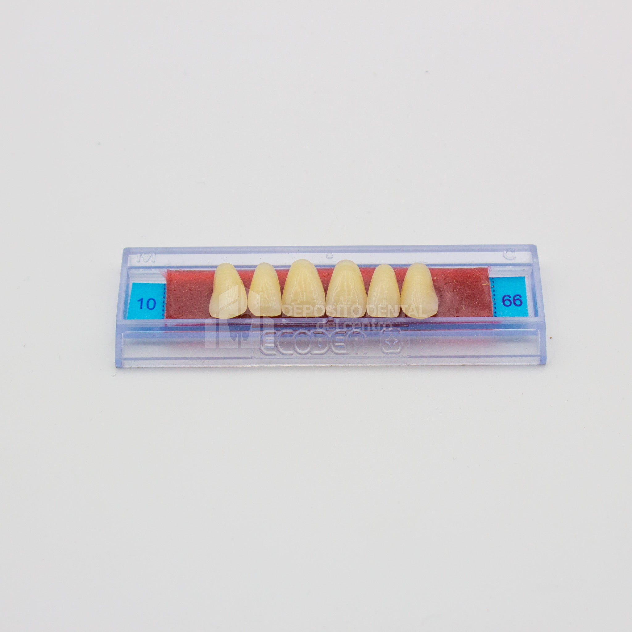 Tablilla de Dientes Ecodent Anteriores Superiores 10 66