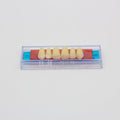 Tablilla de Dientes Ecodent Anteriores Superiores 21 66