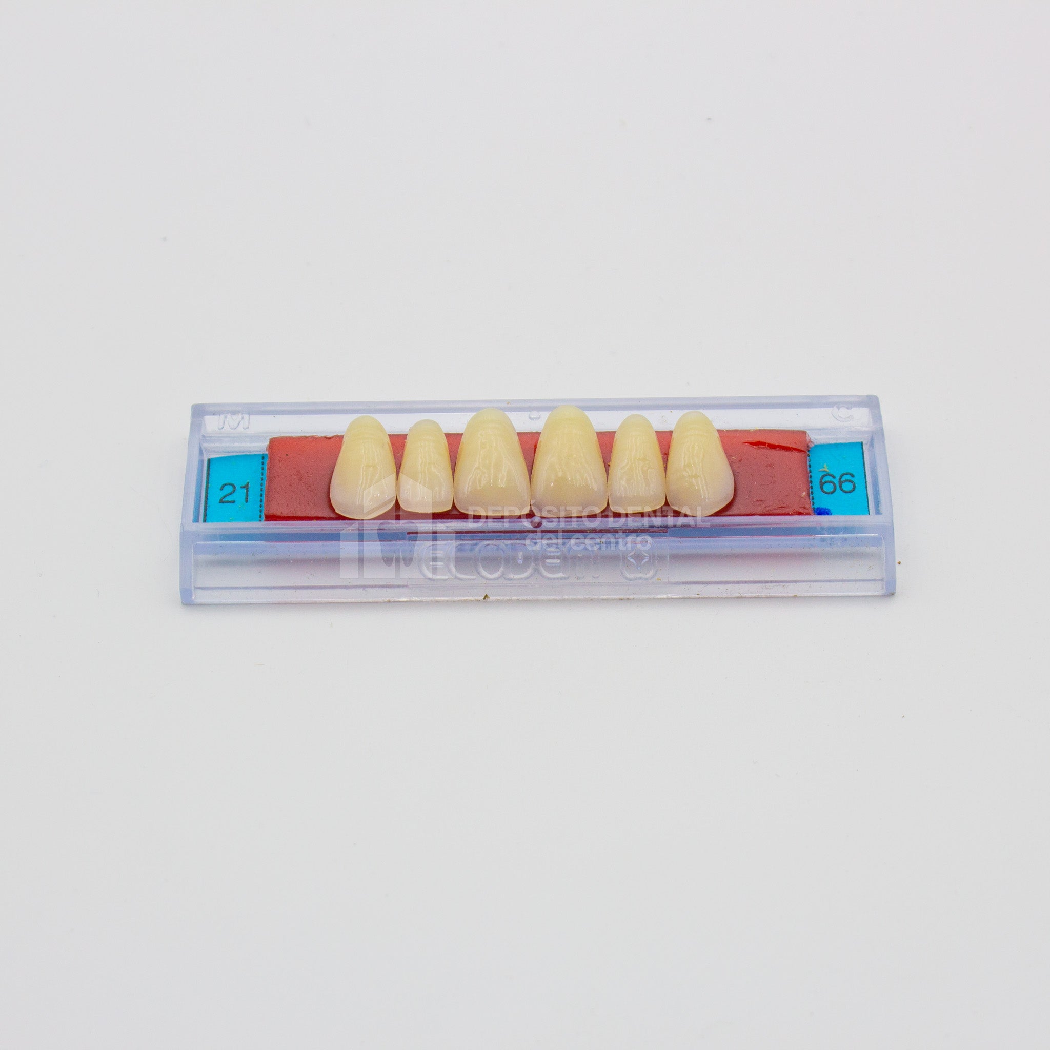 Tablilla de Dientes Ecodent Anteriores Superiores 21 66