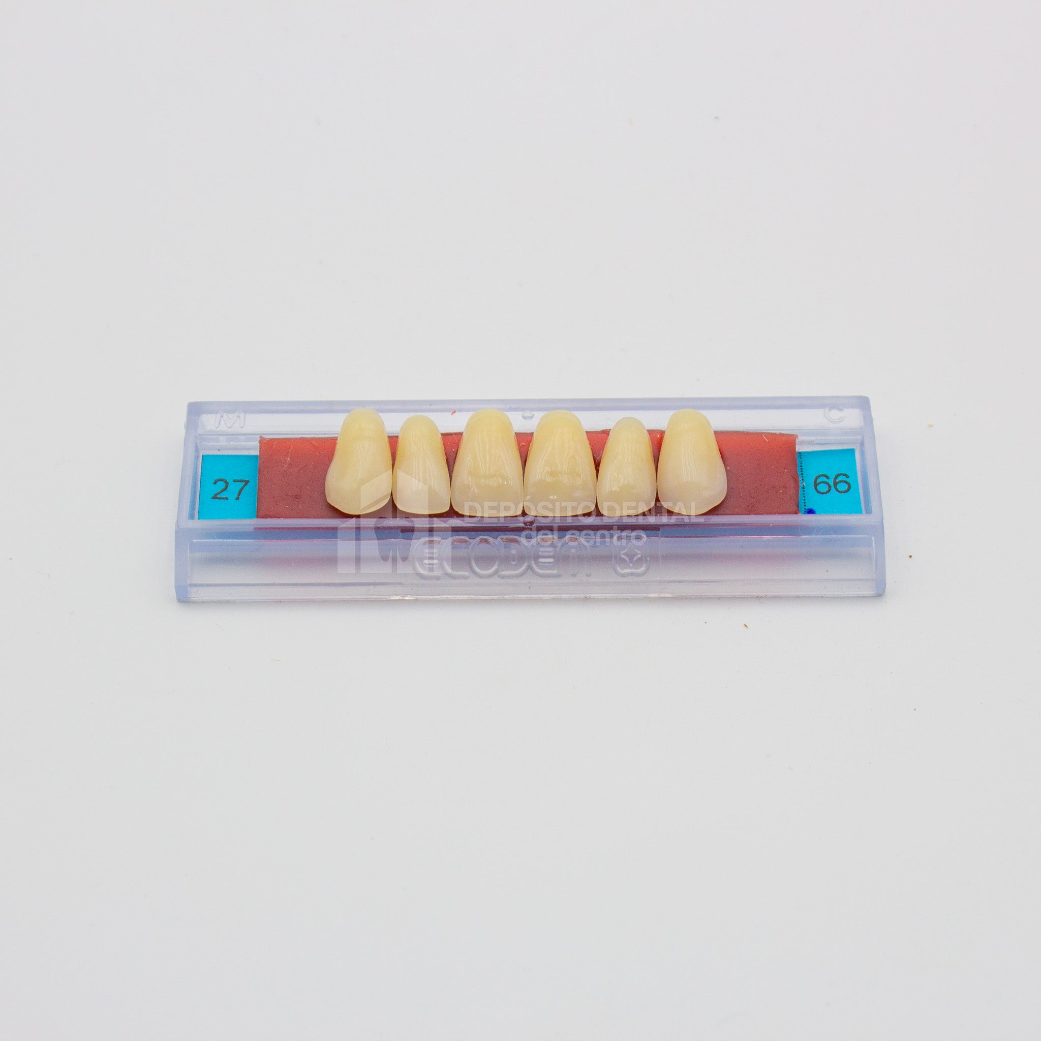 Tablilla de Dientes Ecodent Anteriores Superiores 27 66