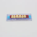 Tablilla de Dientes Ecodent Anteriores Superiores 32 66