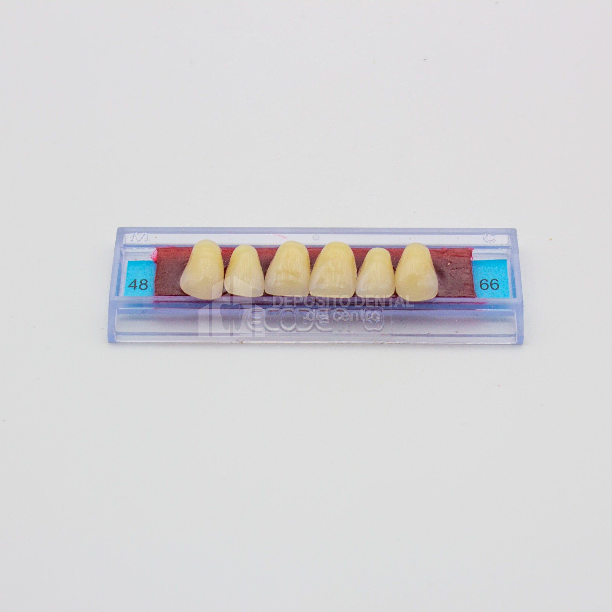 Tablilla de Dientes Ecodent Anteriores Superiores 48 66