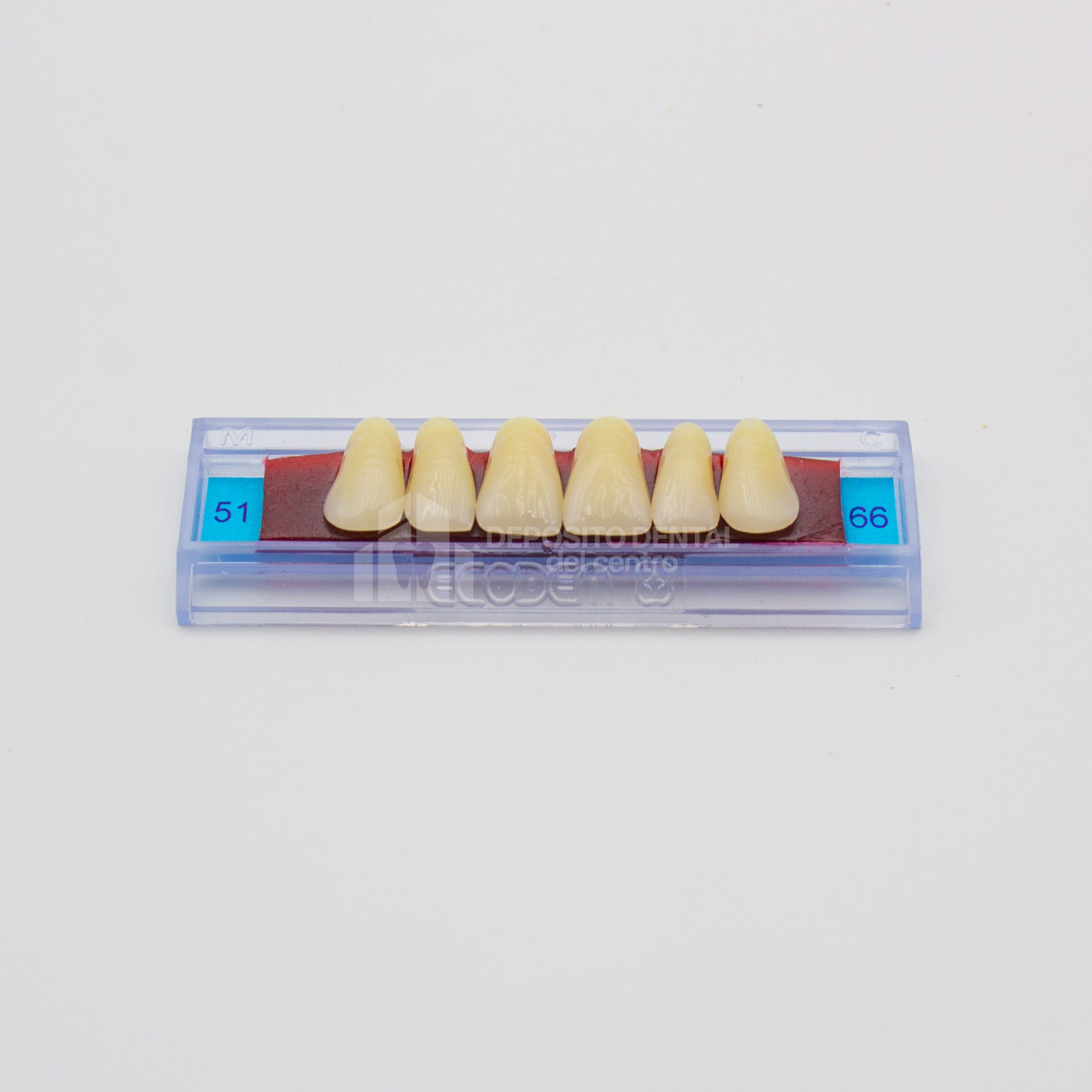 Tablilla de Dientes Ecodent Anteriores Superiores 51 66