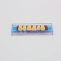 Tablilla de Dientes Ecodent Anteriores Superiores 69 66
