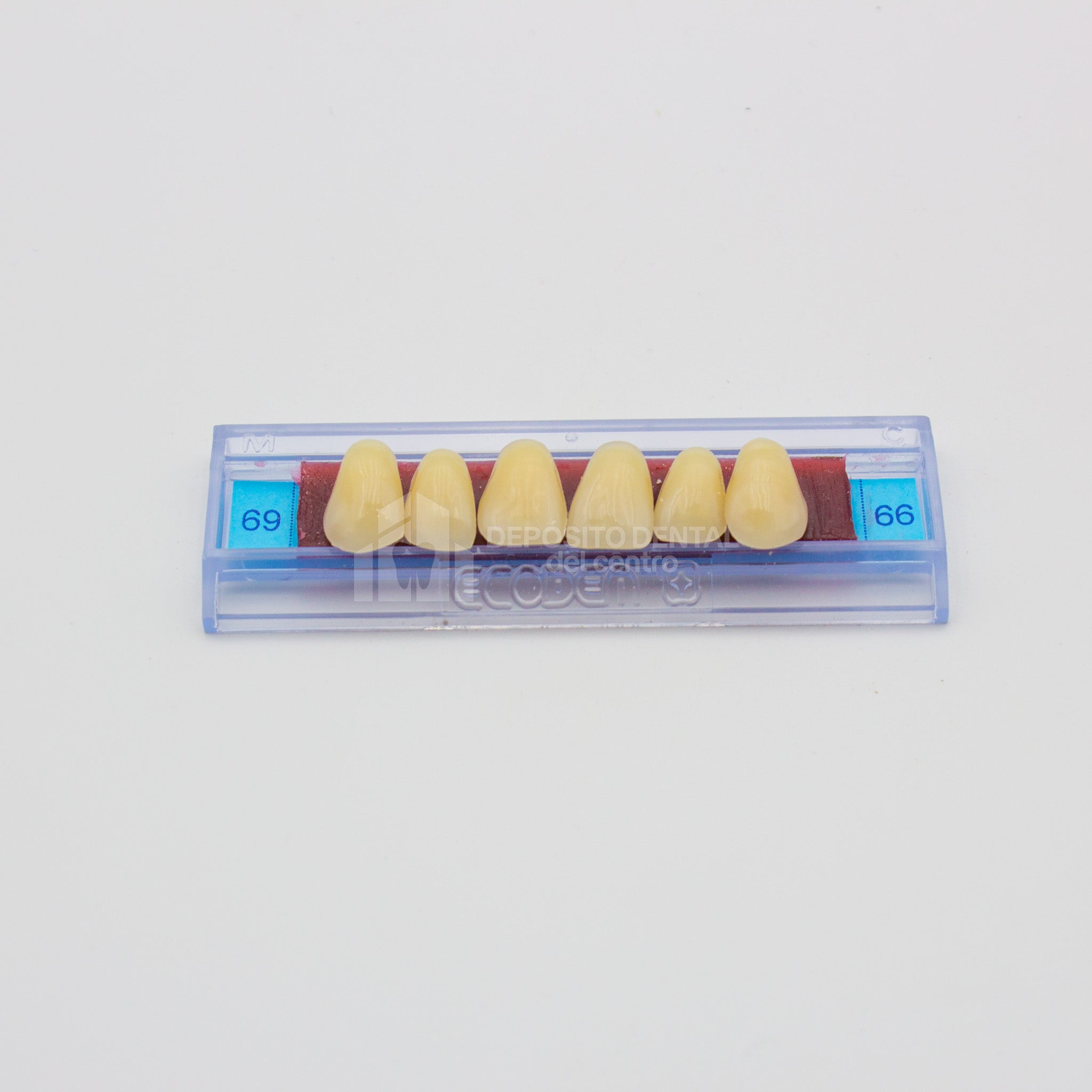 Tablilla de Dientes Ecodent Anteriores Superiores 69 66