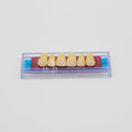 Tablilla de Dientes Ecodent Anteriores Superiores 78 66