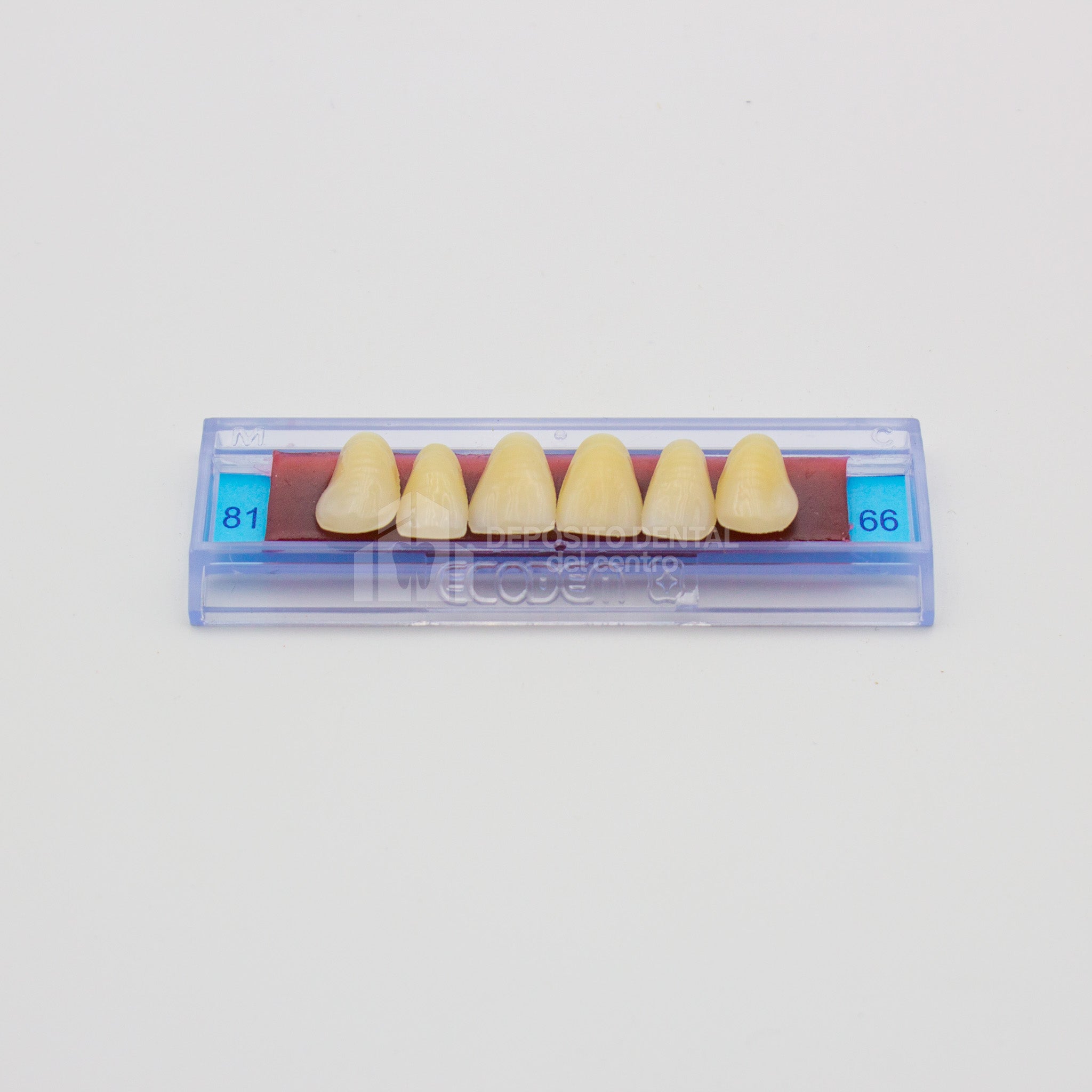 Tablilla de Dientes Ecodent Anteriores Superiores 81 66
