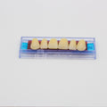 Tablilla de Dientes Ecodent Anteriores Superiores 82 66
