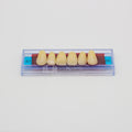 Tablilla de Dientes Ecodent Anteriores Superiores 87 66