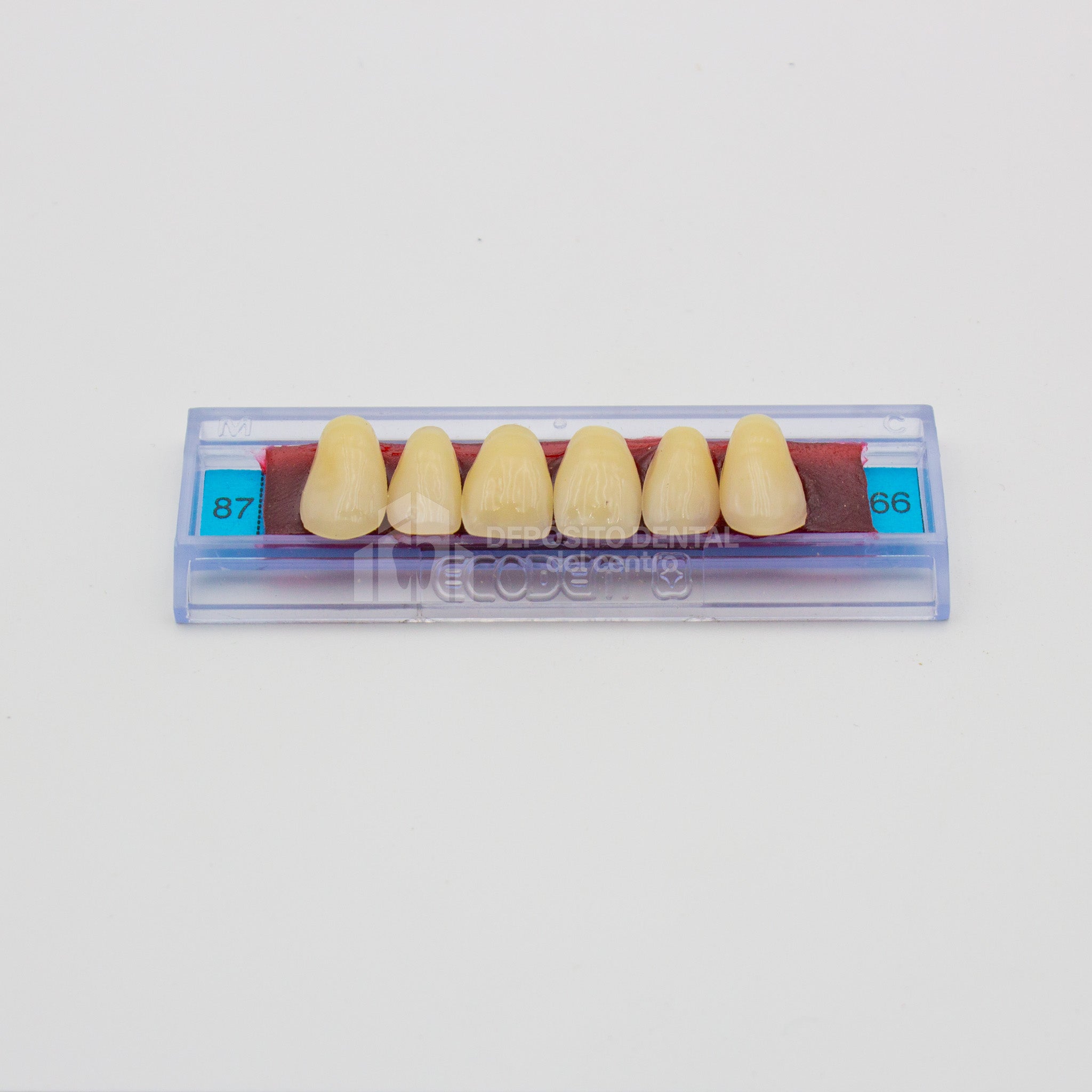 Tablilla de Dientes Ecodent Anteriores Superiores 87 66